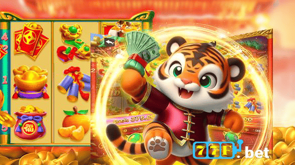 77F Rio de Janeiro - Licenses